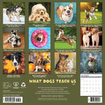 2027 What Dogs Teach Us Wall Calendar 12X12 20 9781549262890_3e546b73-c265-4138-b679-ba0faa479b74