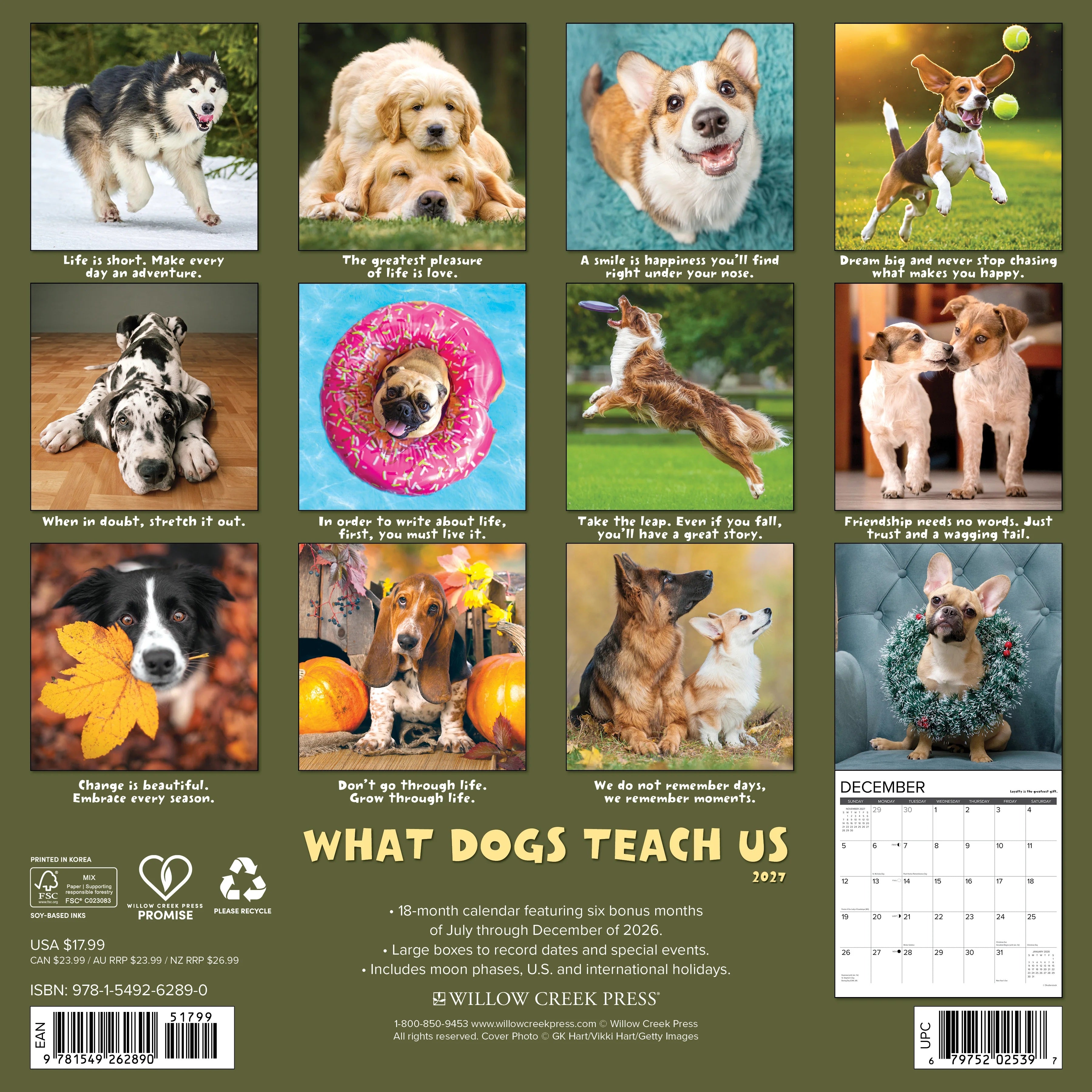 2027 What Dogs Teach Us Wall Calendar 12X12