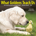 2027 What Goldens Teach Us Wall Calendar 12X12 20 9781549262913