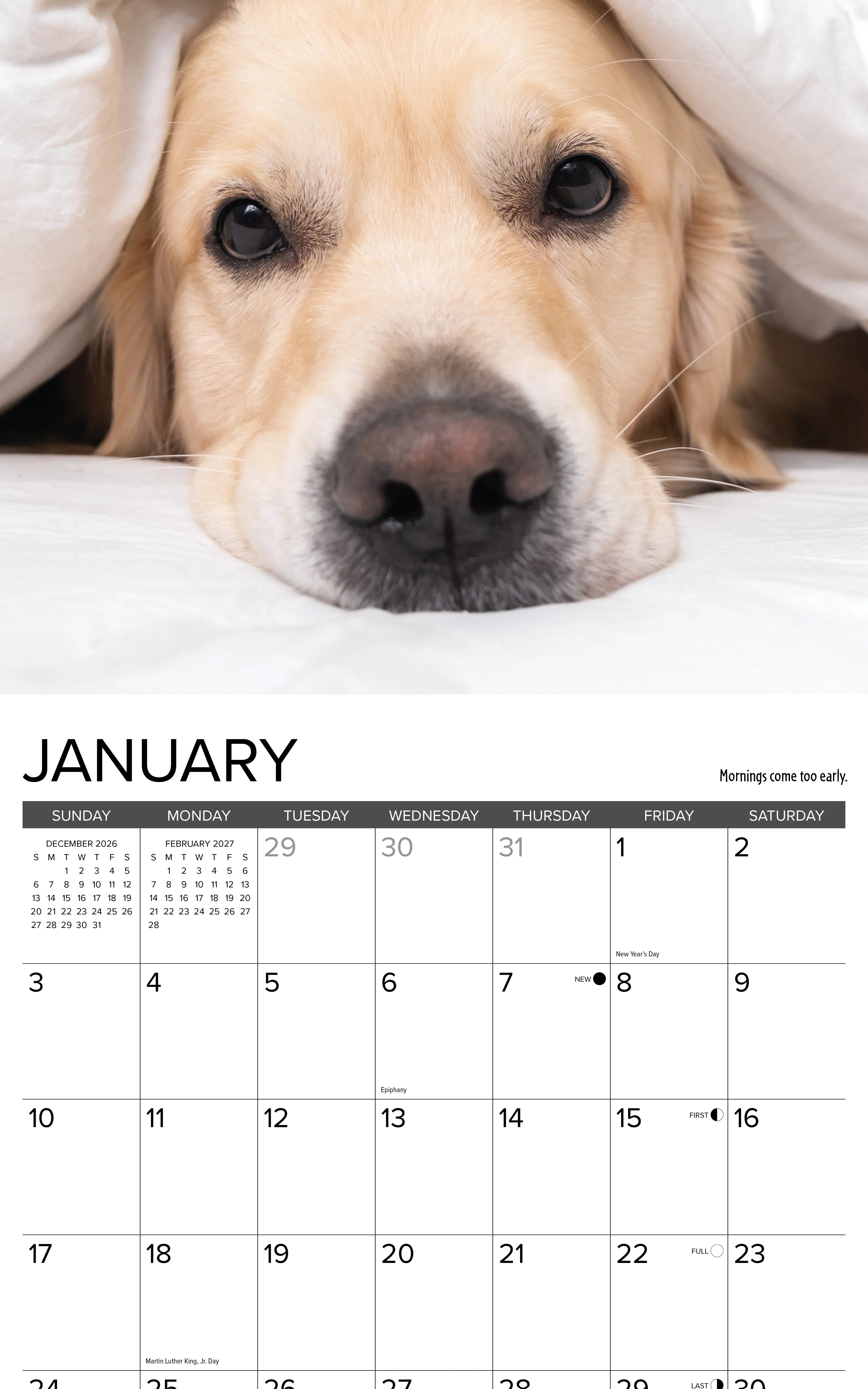 2027 What Goldens Teach Us Wall Calendar 12X12 20 9781549262913_1