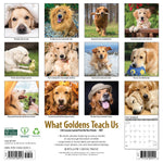 2027 What Goldens Teach Us Wall Calendar 12X12 20 9781549262913_87ef3f5c-d6f1-4383-ae20-3b4d589bb0af