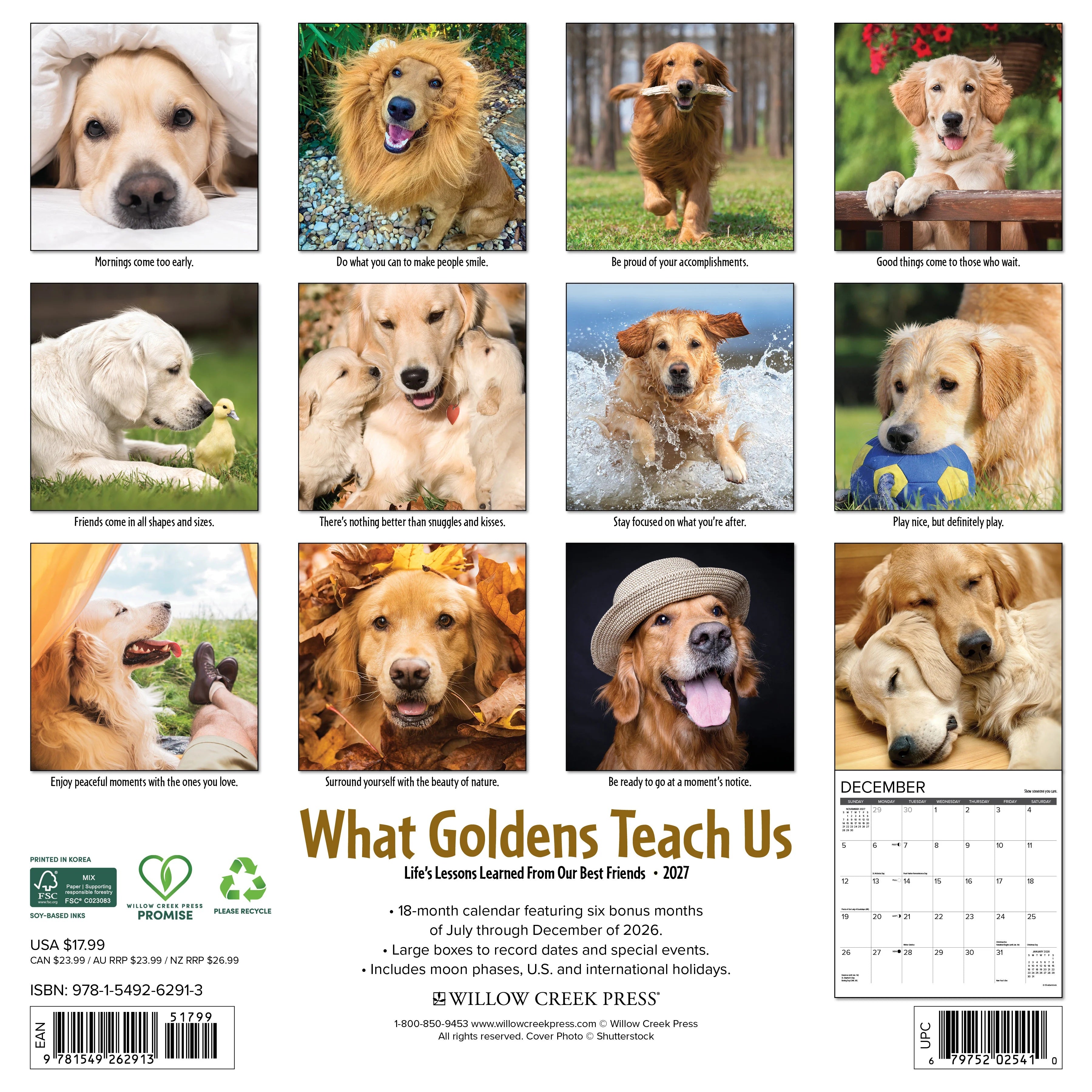 2027 What Goldens Teach Us Wall Calendar 12X12