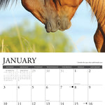 2027 What Horses Teach Us Wall Calendar 12X12 20 9781549262920_1