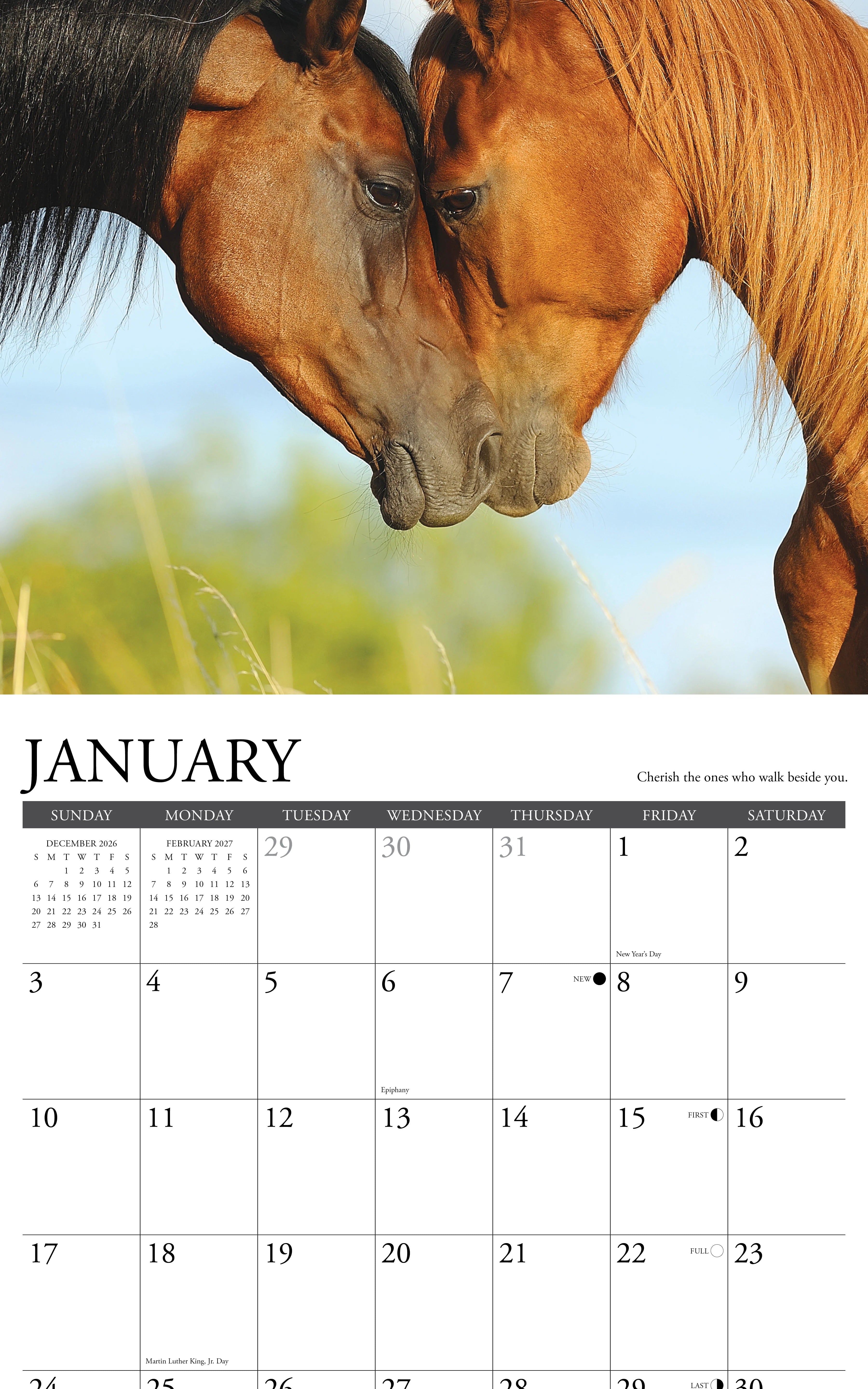 2027 What Horses Teach Us Wall Calendar 12X12 20 9781549262920_1