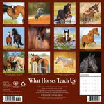 2027 What Horses Teach Us Wall Calendar 12X12 20 9781549262920_e6cfb6a1-057a-4532-b16b-591adb2b41ef