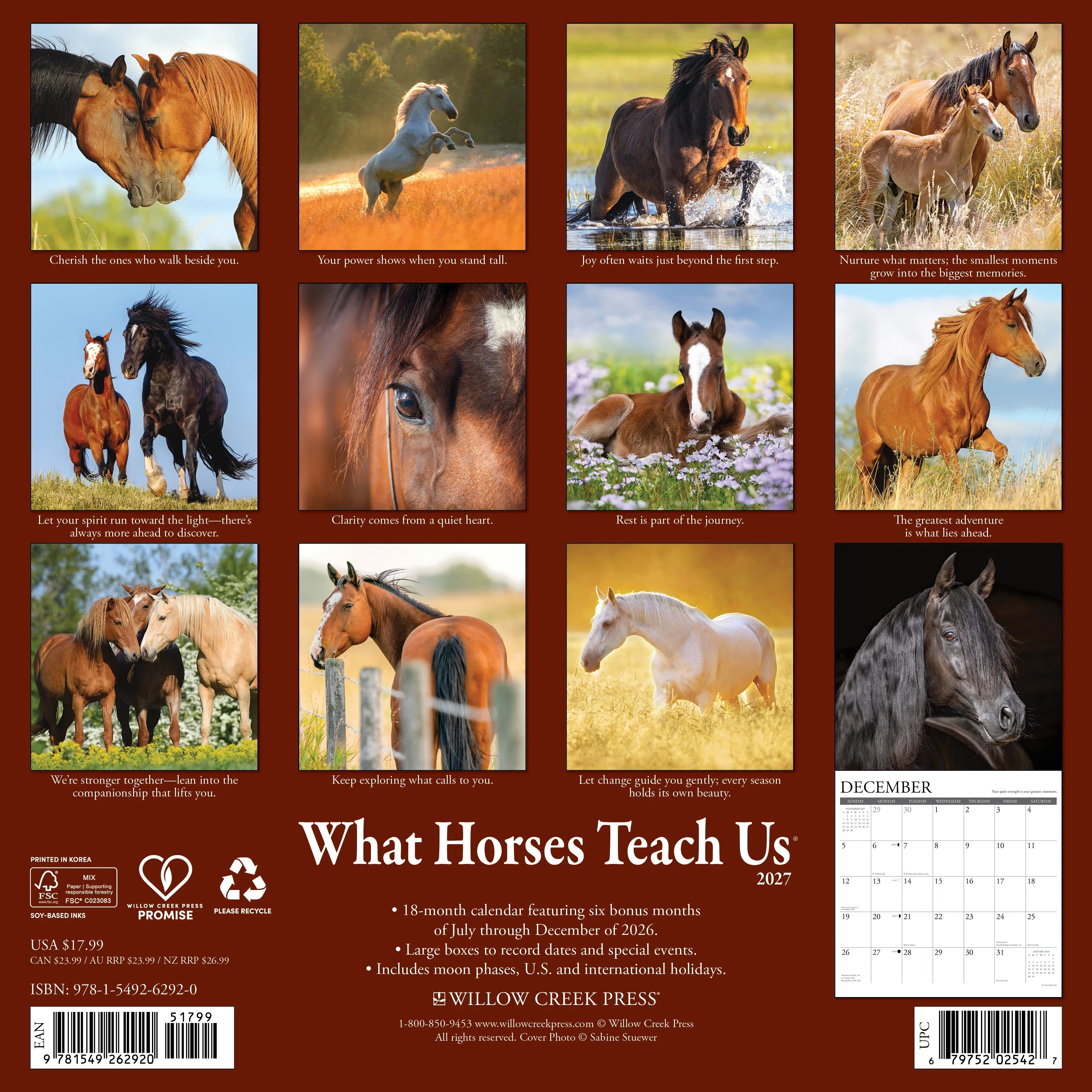 2027 What Horses Teach Us Wall Calendar 12X12