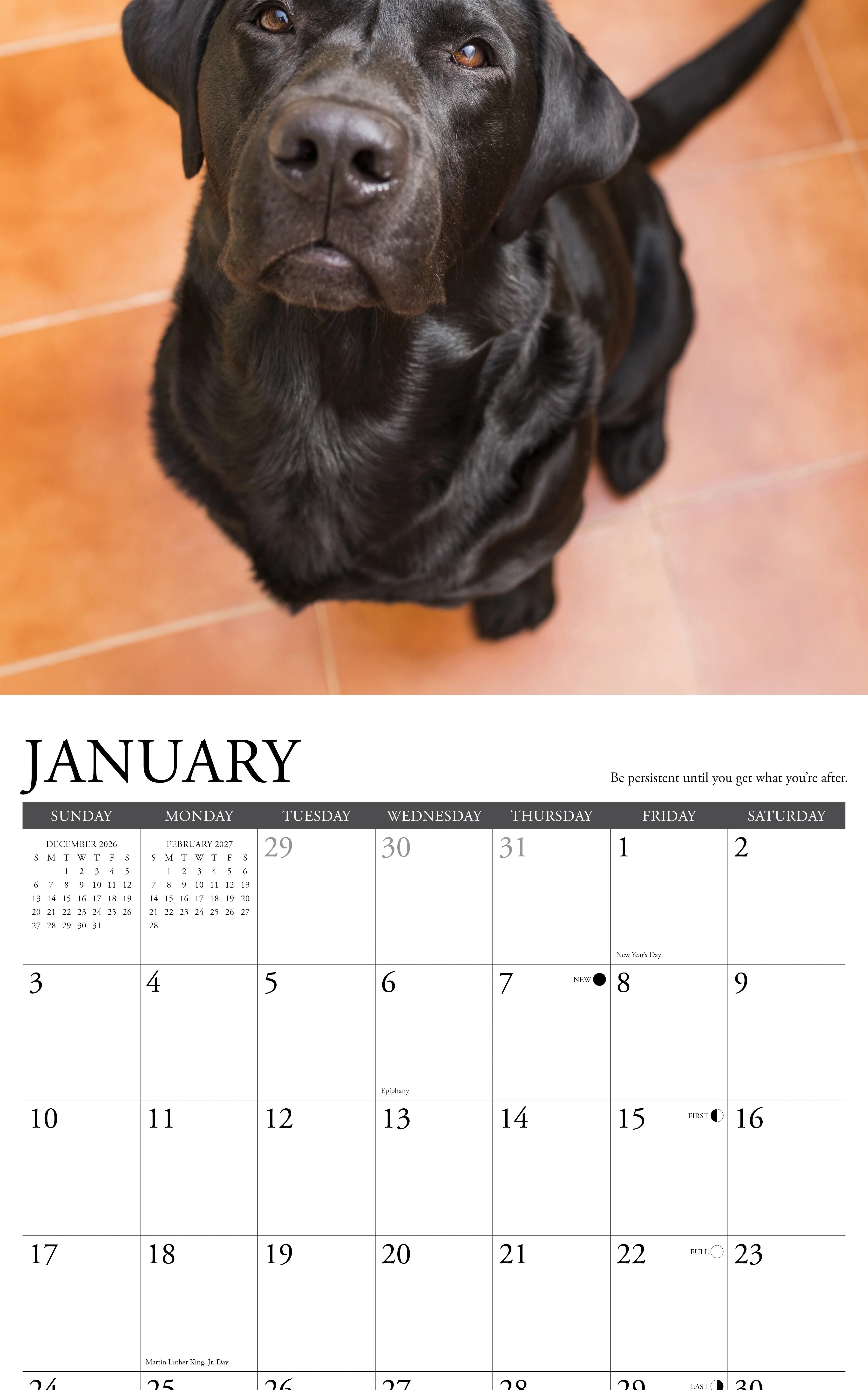 2027 What Labs Teach Us Wall Calendar 12X12 20 9781549262944_1