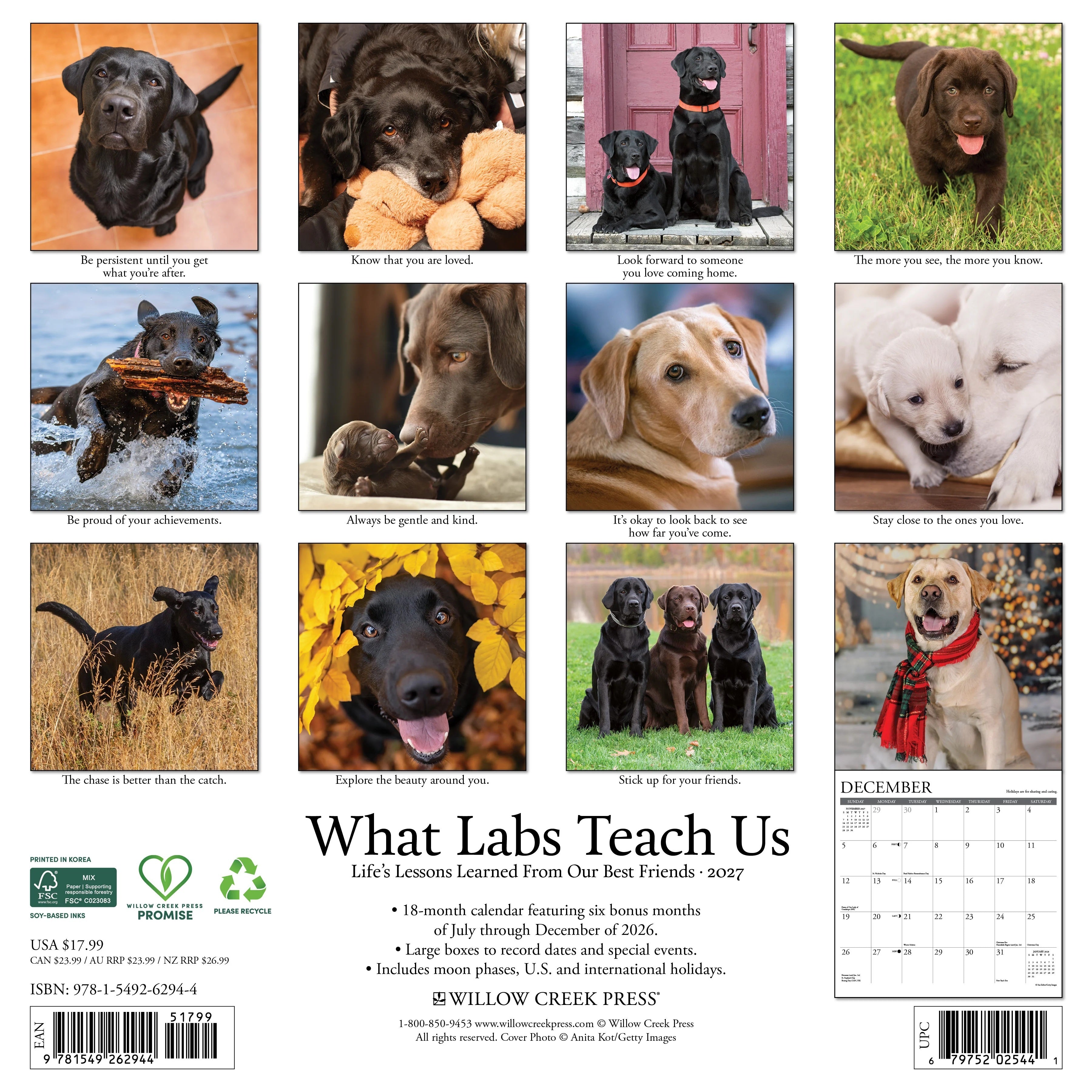 2027 What Labs Teach Us Wall Calendar 12X12