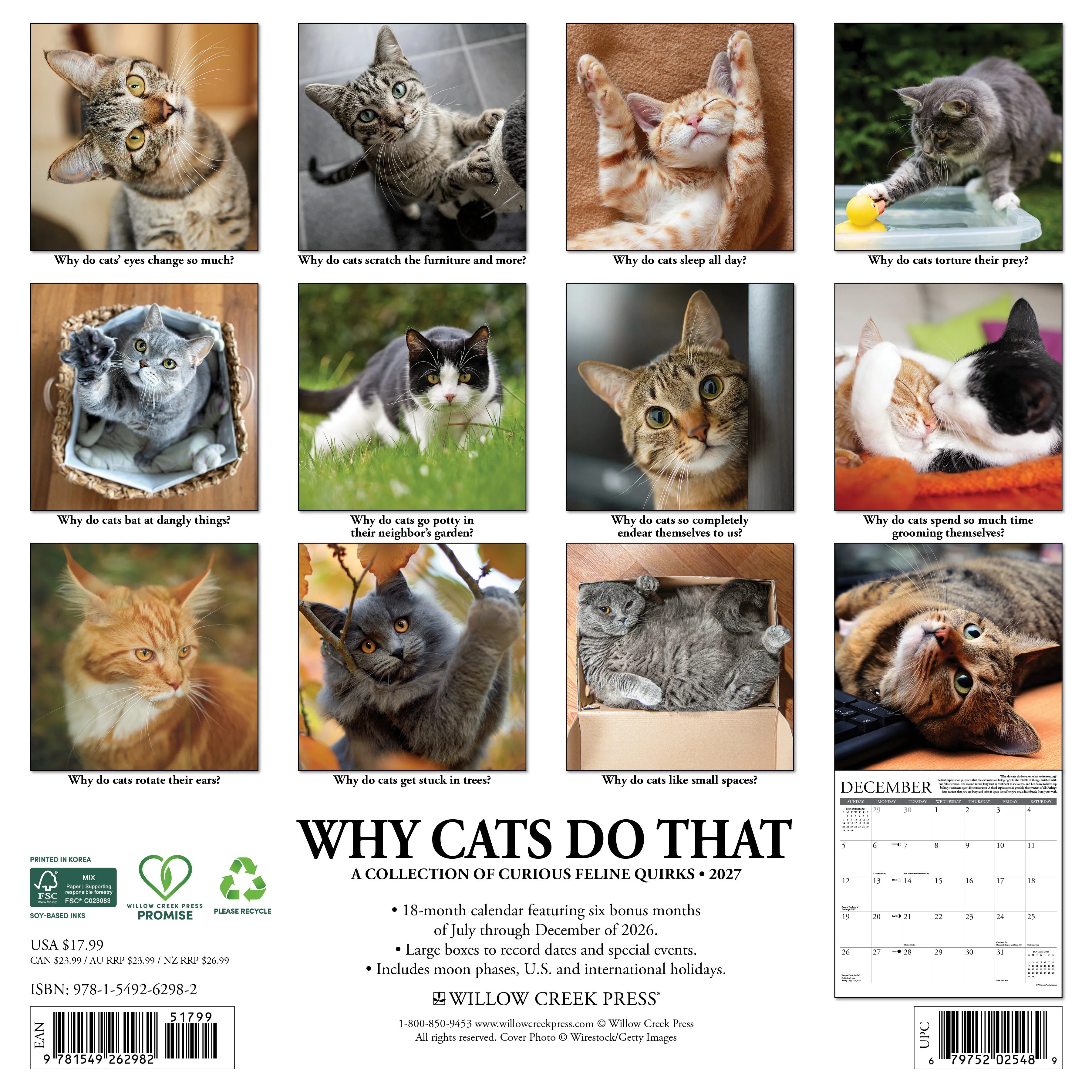 2027 Why Cats Do That Wall Calendar 12X12