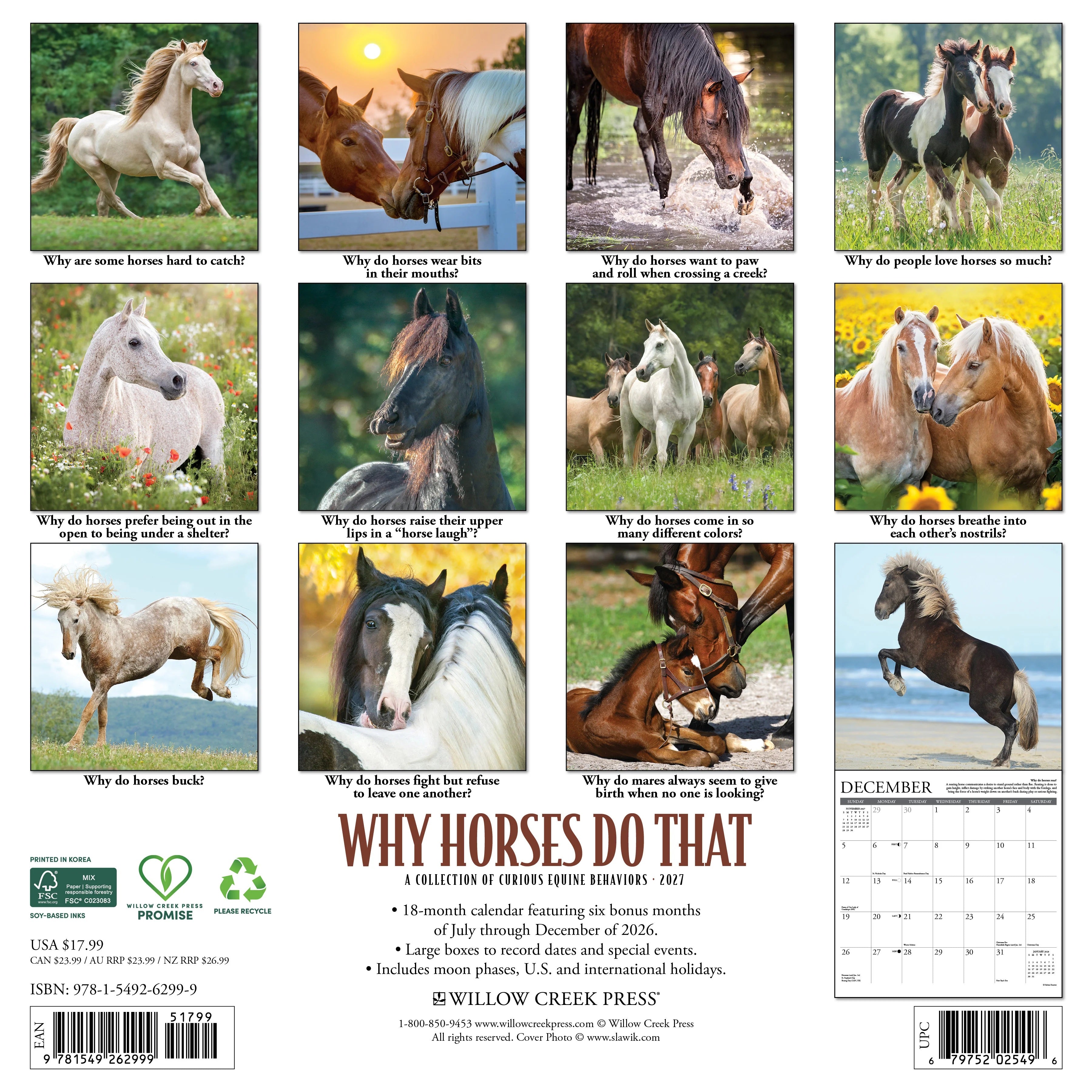 2027 Why Horses Do That Wall Calendar 12X12