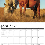 2027 Wild Horses Wall Calendar 12X12 20 9781549263019_1