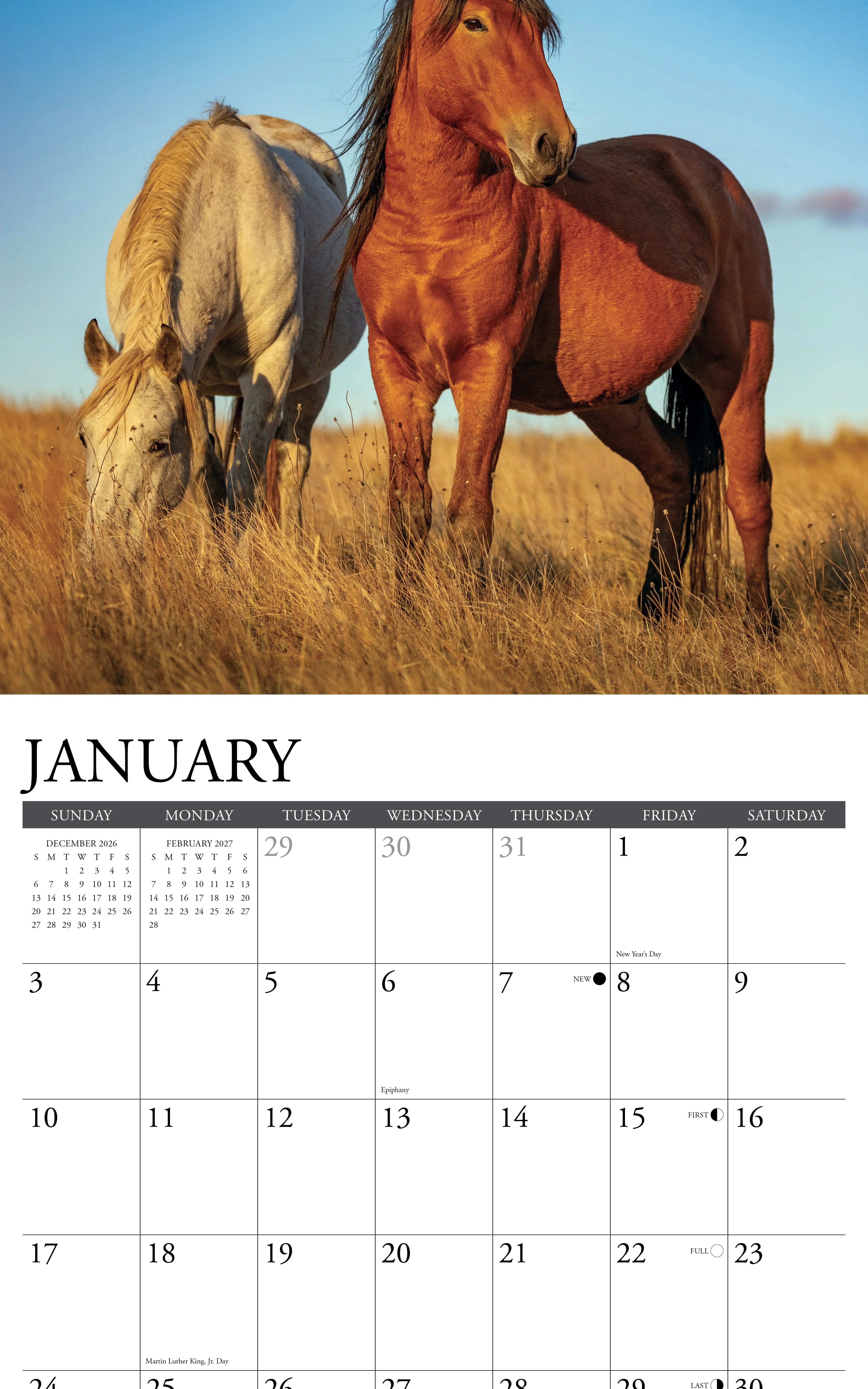 2027 Wild Horses Wall Calendar 12X12 20 9781549263019_1