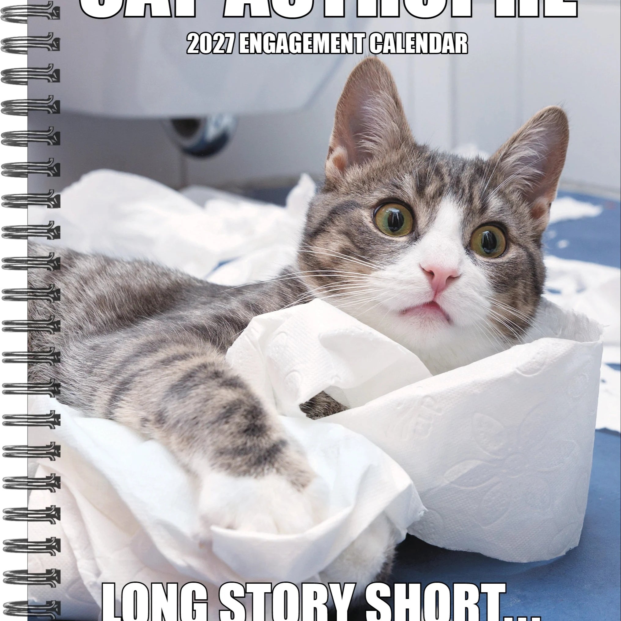 2027 Cat-tastrophe Engagement Calendar 20 9781549264351