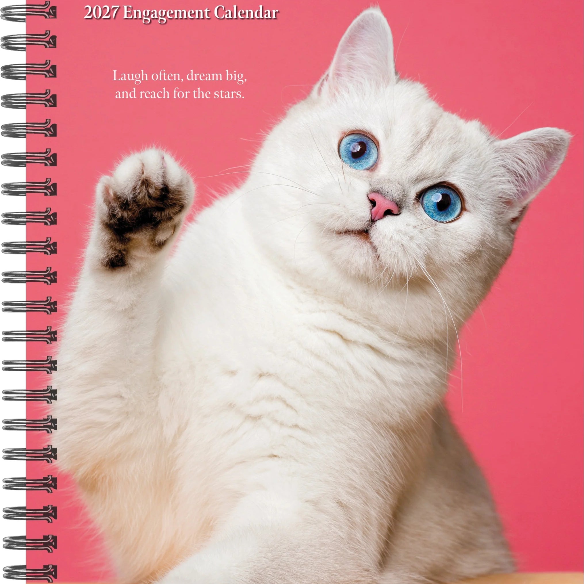 2027 What Cats Teach Us Engagement Calendar 20 9781549264443
