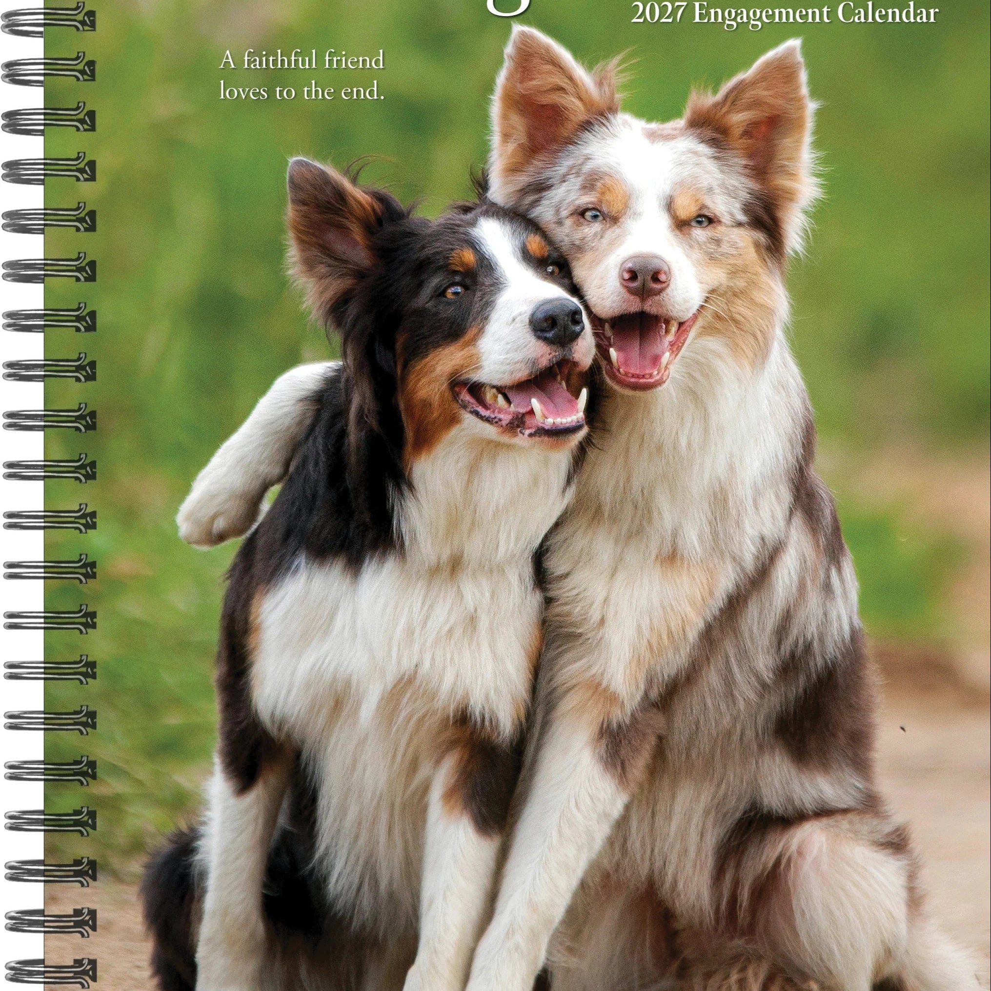 2027 What Dogs Teach Us Engagement Calendar 20 9781549264450