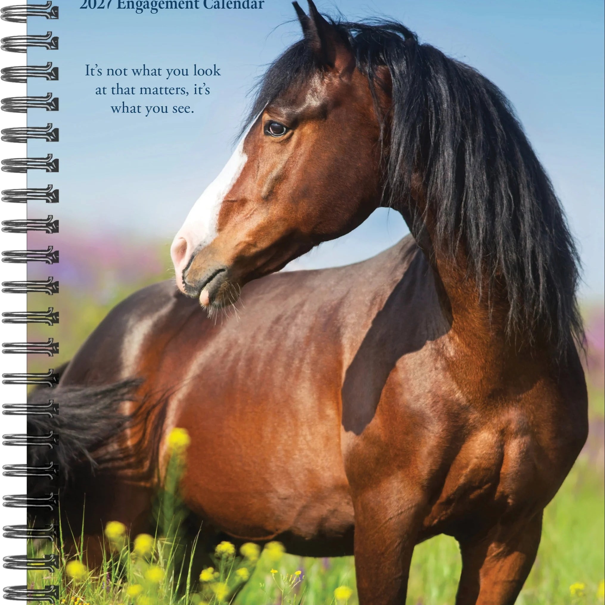 2027 What Horses Teach Us Engagement Calendar 20 9781549264474