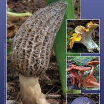 A Field Guide To Edible Mushrooms Pacific Northwest Winkler. Daniel 9781550175424_9f444e9d-9501-42ec-8880-15811ca60c03