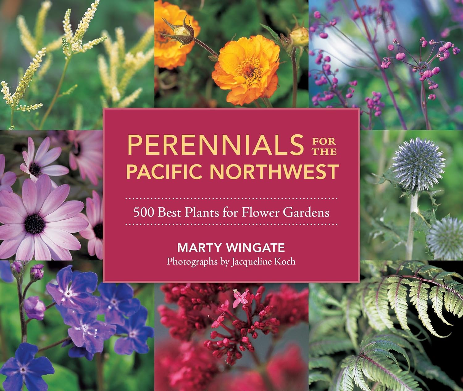Perennials For The Pacific Northwest: 500 Best Plants by Wingate. Marty 20 9781570618932