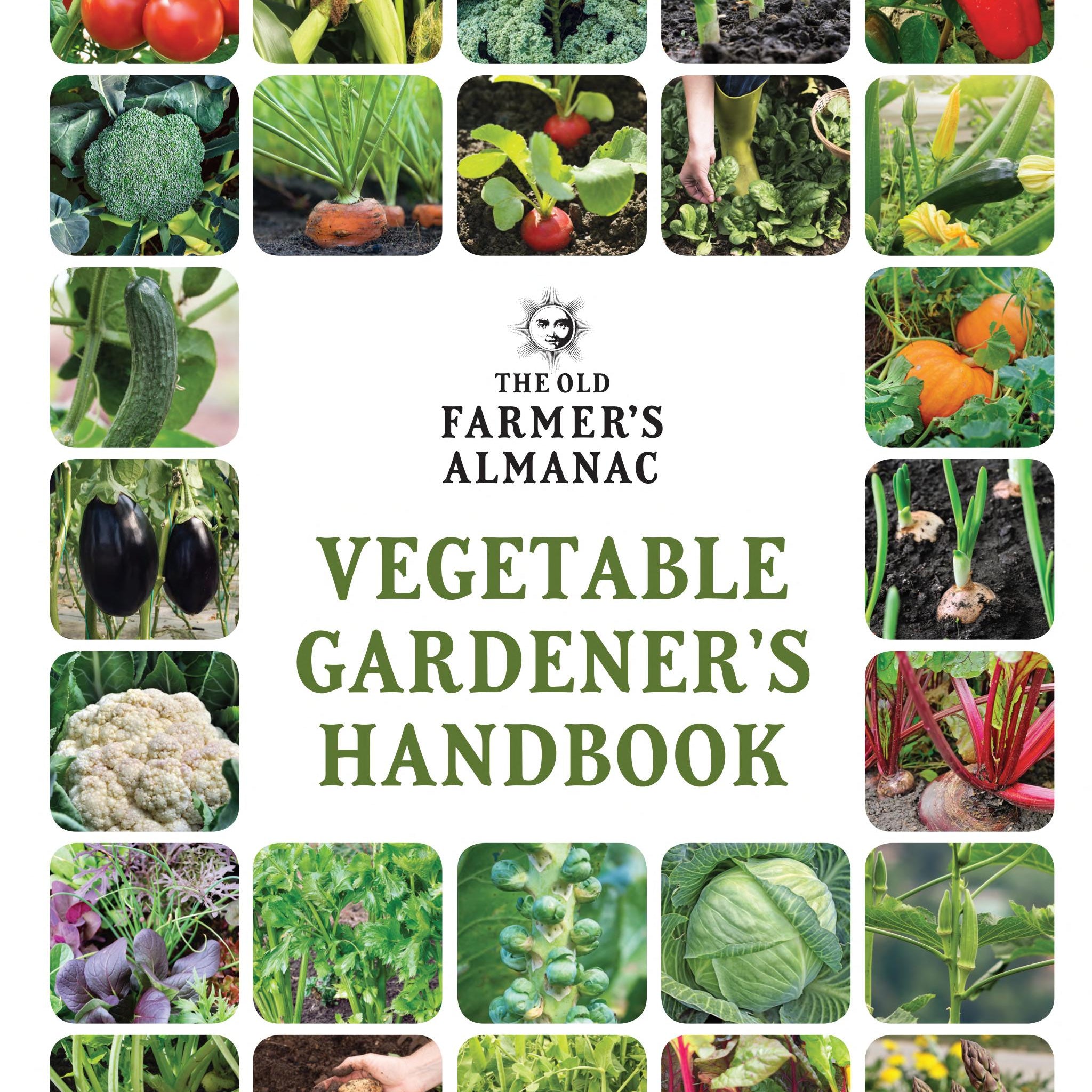 The Old Farmers Almanac Vegetable Gardeners Handbook by Old Farmers Almanac 9781571988454