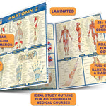 Anatomy 2 9781572228566