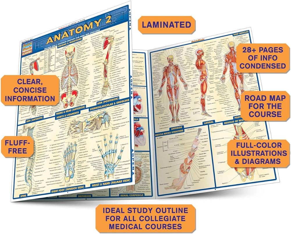 Anatomy 2 9781572228566