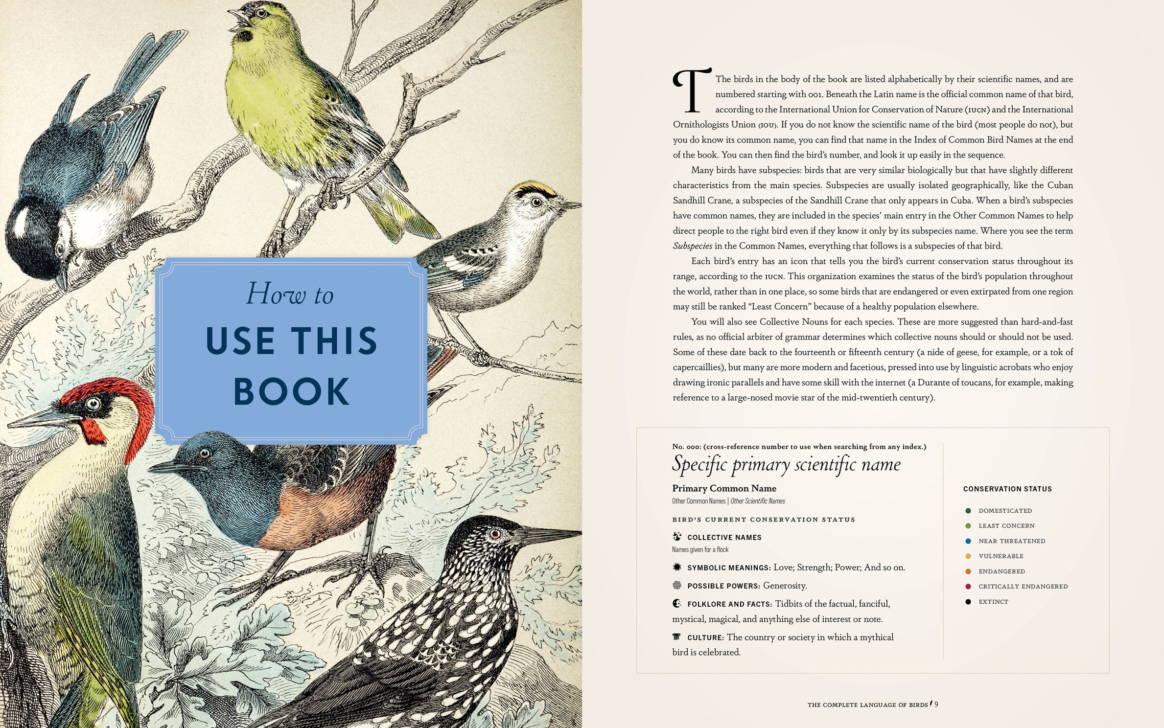 The Complete Language of Birds: A Definitive & Illustrated History by Minetor. Randi 20 9781577153740_1