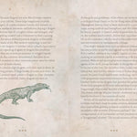 Dragons: A Handbook Of History & Lore by Hollyhock. Agnes 9781577155409_2