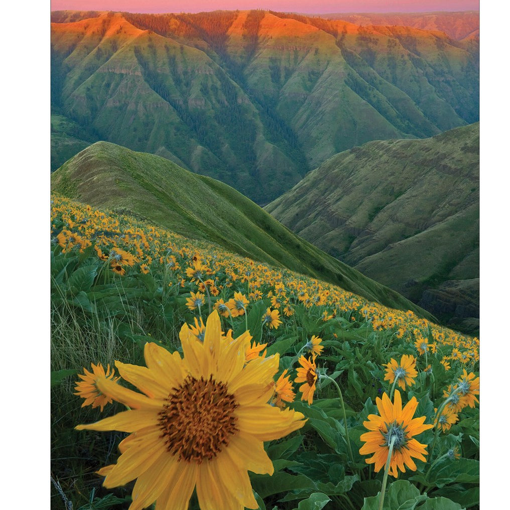 Sierra Club Engagement Calendar 2027 Planner 20 9781578052479