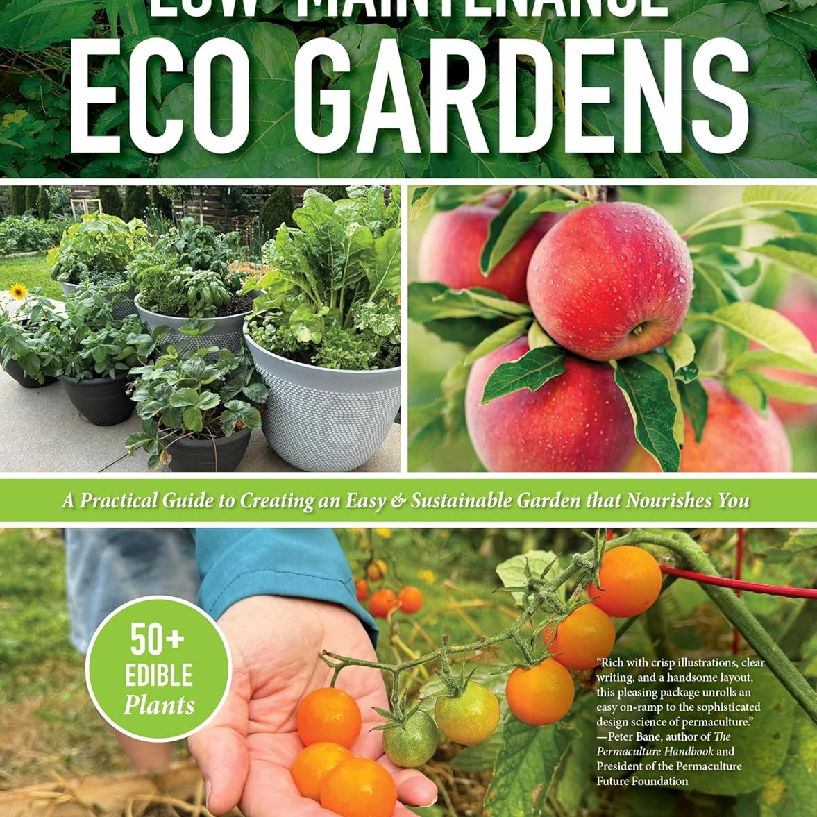 Low-Maintenance Eco Gardens by Kardos. Jen; Meyer. Fred 20 9781580116169_9c8d00b2-e8cc-471e-bb51-1f038d637728