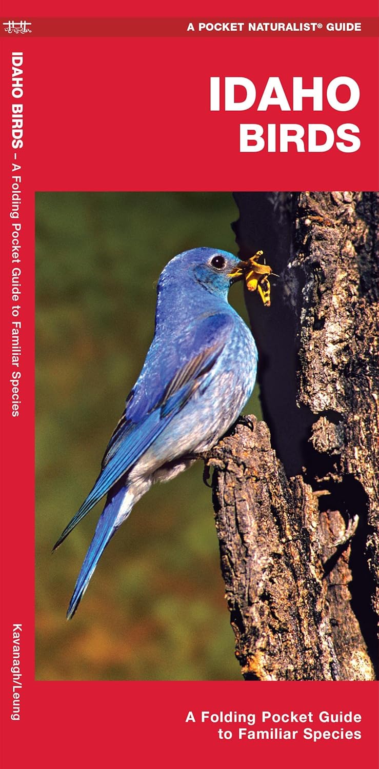 Idaho Birds Pocket Guide by Waterford Press 9781583551028