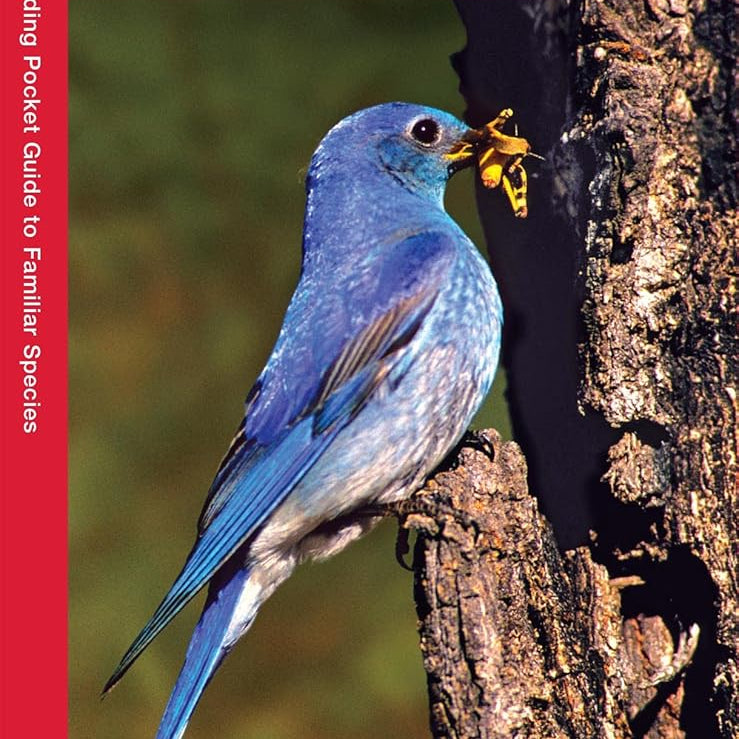 Idaho Birds Pocket Guide by Waterford Press 9781583551028