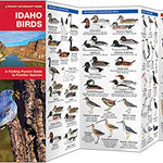 Idaho Birds Pocket Guide by Waterford Press 9781583551028_1