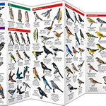 Idaho Birds Pocket Guide by Waterford Press 9781583551028_2