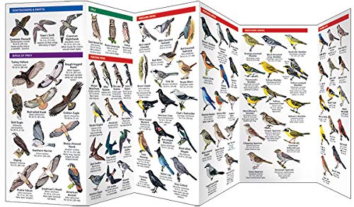 Idaho Birds Pocket Guide by Waterford Press 9781583551028_2