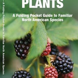Edible Wild Plants Pocket Guide by Waterford Press 9781583551271
