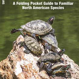 Reptiles & Amphibians Pocket Guide by Waterford Press 9781583551806