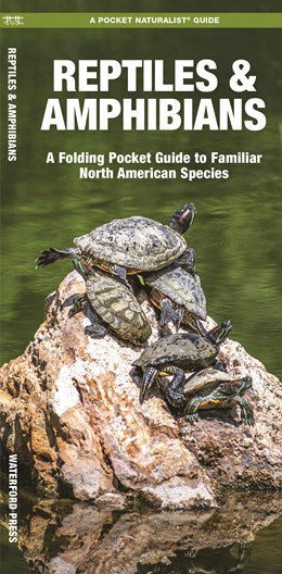Reptiles & Amphibians Pocket Guide by Waterford Press 9781583551806