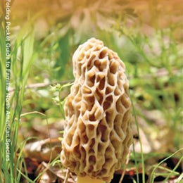 Mushrooms Pocket Guide by Waterford Press 9781583551820