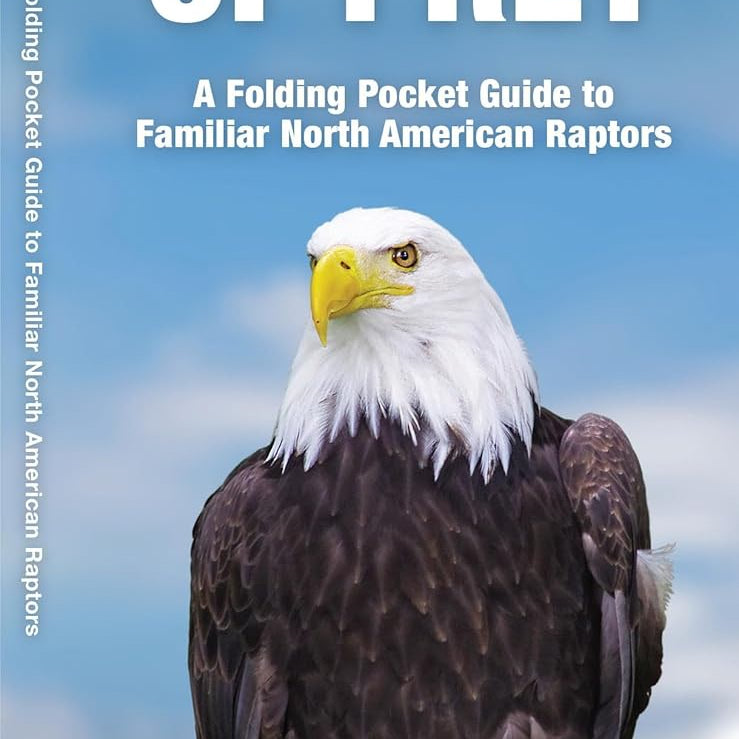 Birds Of Prey Guide by Waterford Press 9781583551899