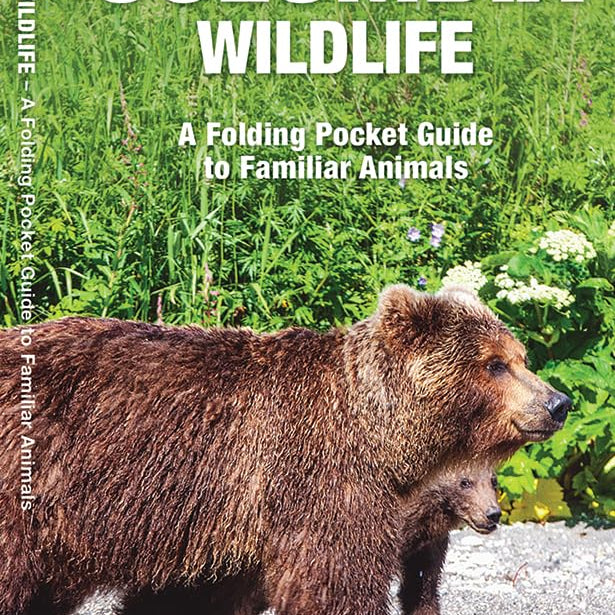 British Columbia Wildlife Guide by Waterford Press 9781583552780