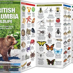 British Columbia Wildlife Guide by Waterford Press 9781583552780_1