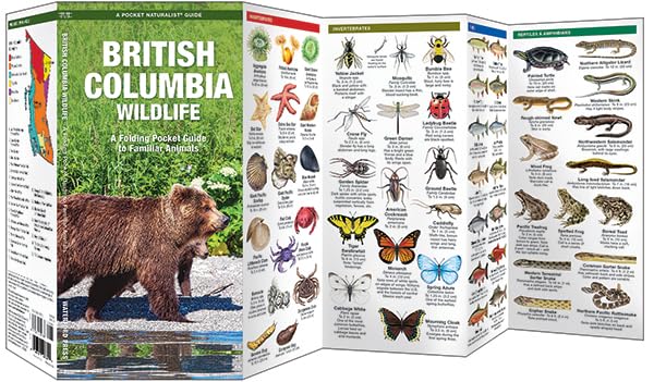 British Columbia Wildlife Guide by Waterford Press 9781583552780_1
