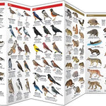 British Columbia Wildlife Guide by Waterford Press 9781583552780_2
