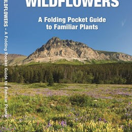 Montana Trees & Wildflowers Pocket Guide by Waterford Press 9781583552933
