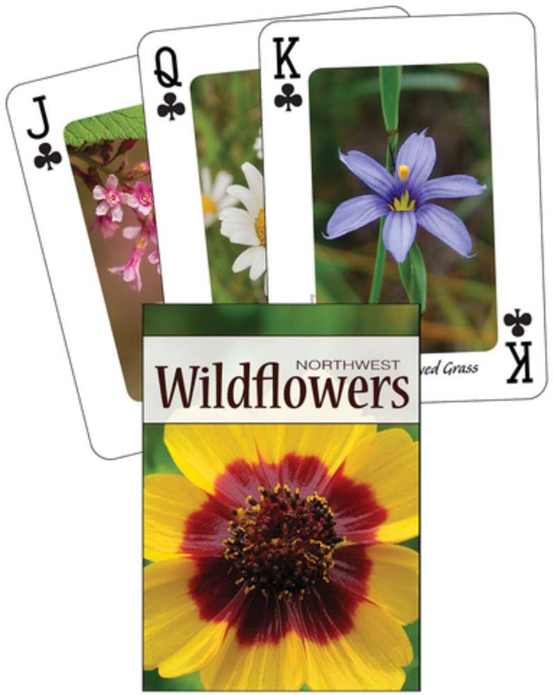 Wildflowers of the Northwest Playing Cards - Photos from Adventure Publications 80 9781591933953