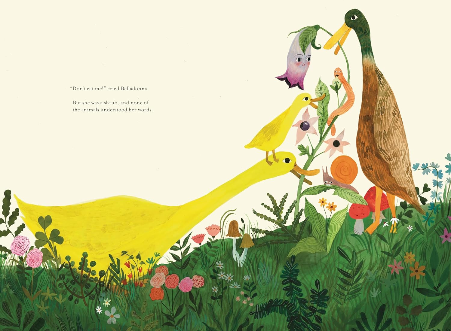 Don't Eat Me! The Almost True Story Of Belladonna by Finney. Kate; Shapiro. Esme 9781592704347_2