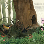 Don't Eat Me! The Almost True Story Of Belladonna by Finney. Kate; Shapiro. Esme 9781592704347_7
