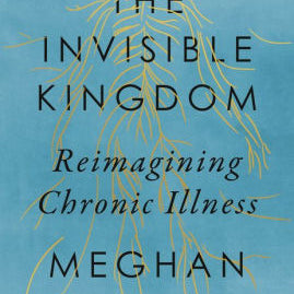 The Invisible Kingdom by O'rourke. Meghan 9781594633799_89295791-bb0e-4260-b0fa-b30f72f9e246