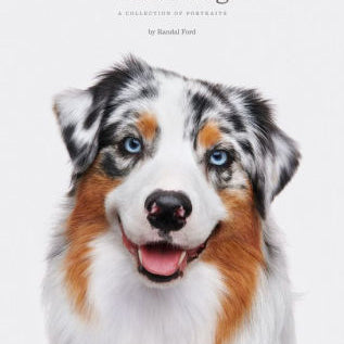 Good Dog: A Collection Of Portraits 9781599621487_82d9e1f6-630e-4a6b-8f8f-cea7199bedf1