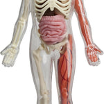 Smartlab Toys Squishy Human Body With 21 Removable Body Parts With Anatomy Book 9781601305572_1
